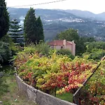 Family Secrets Douro *