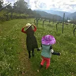 Family Secrets Douro *