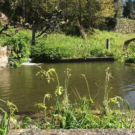 Casa de Férias Family Secrets Douro