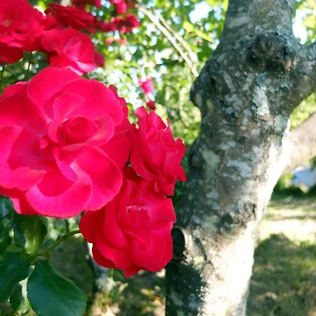 Casa de Férias Family Secrets Douro *