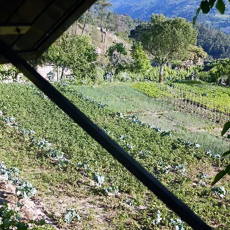 Tatil Evi Family Secrets Douro