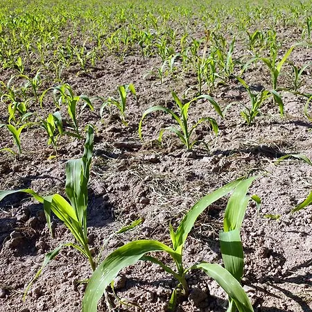 Family Secrets Douro