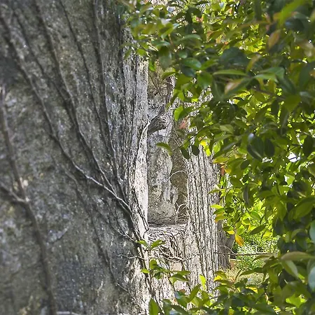 Casa vacanze Family Secrets Douro *