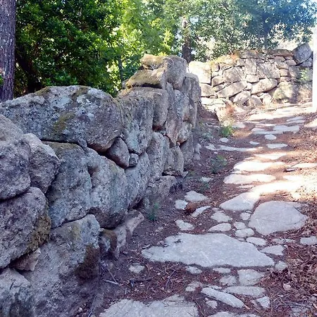 Casa vacanze Family Secrets Douro Ribadouro