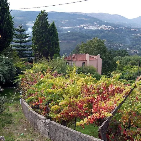 Family Secrets Douro *