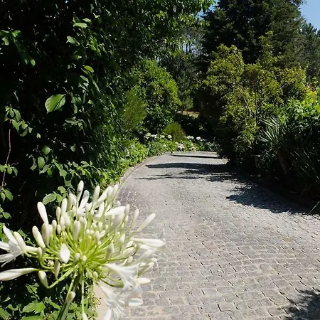 Family Secrets Douro *