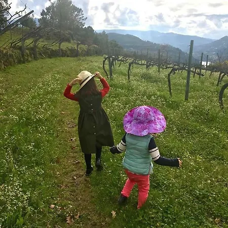 Family Secrets Douro *