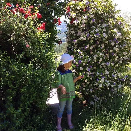 Casa vacanze Family Secrets Douro