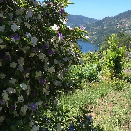 Hébergement de vacances Family Secrets Douro Ribadouro