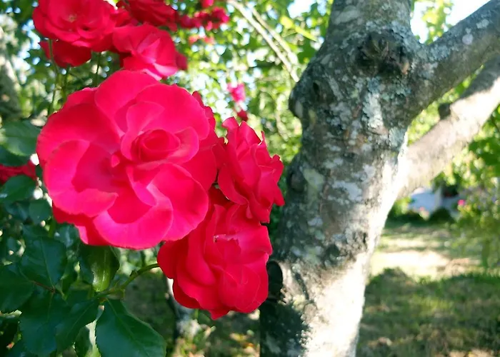 Ferienhaus Family Secrets Douro *