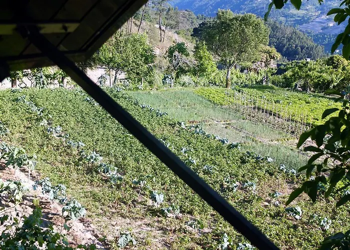 بيت للعطل Family Secrets Douro