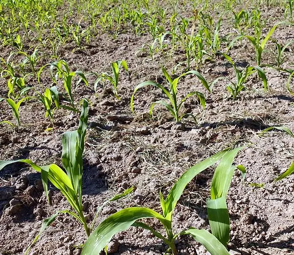 Family Secrets Douro