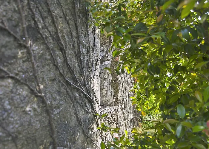 بيت للعطل Family Secrets Douro *