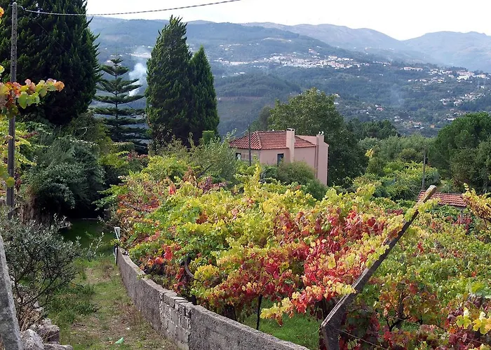 Family Secrets Douro *