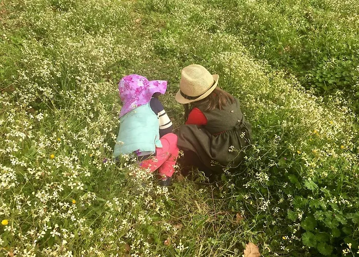 Family Secrets Douro ريبا دورو