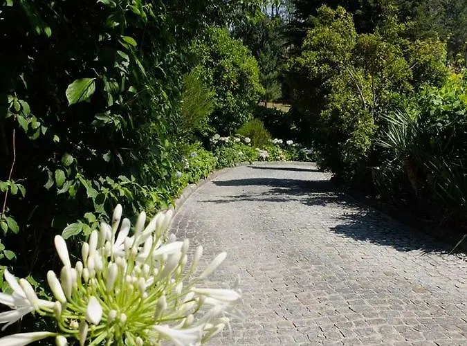 Family Secrets Douro *