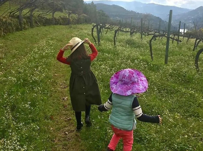 Family Secrets Douro *