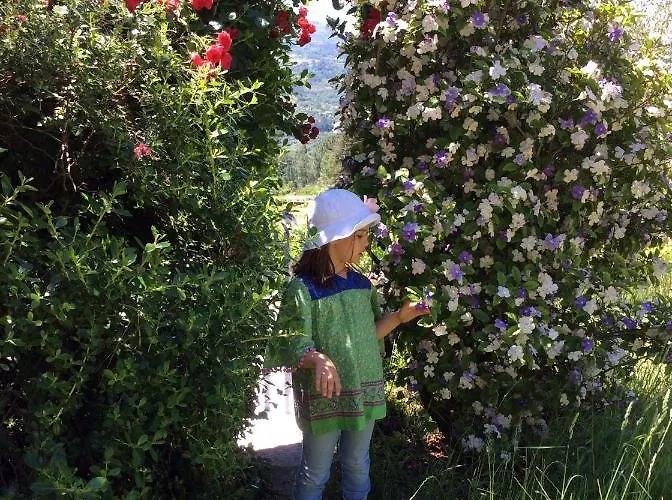 בית נופש Family Secrets Douro