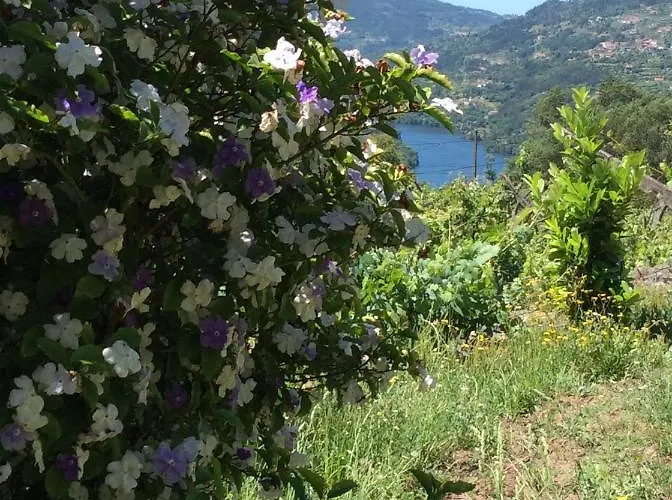 Ferienhaus Family Secrets Douro Ribadouro